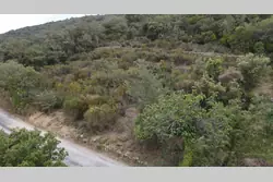 Vente terrain agricole Lansac  