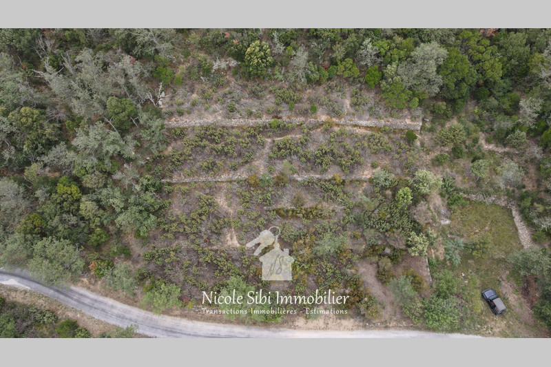Vente terrain agricole Lansac  