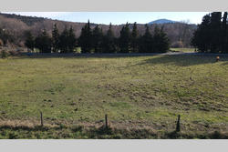 Vente terrain agricole Rodès  
