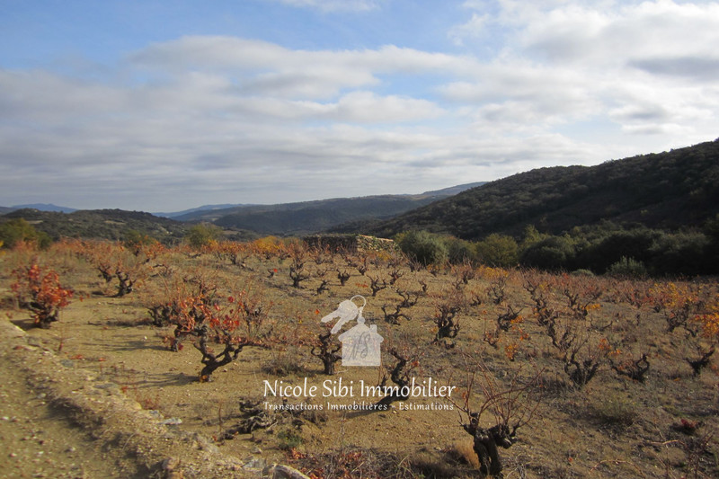 Vente terrain agricole Lansac  