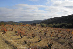 Vente terrain agricole Lansac  