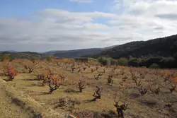 Vente terrain agricole Lansac  
