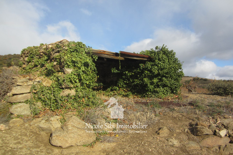 Vente terrain agricole Lansac  
