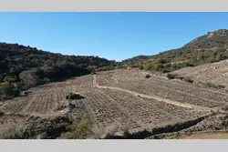 Vente terrain agricole Lansac  