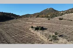 Vente terrain agricole Lansac  