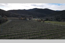 Vente terrain agricole Rodès  