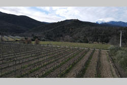 Vente terrain agricole Rodès  