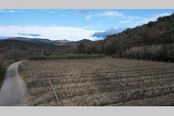 Vente terrain agricole Rodès  