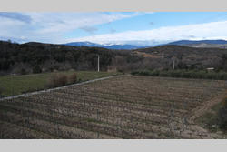Vente terrain agricole Rodès  