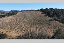 Vente terrain agricole Estagel  