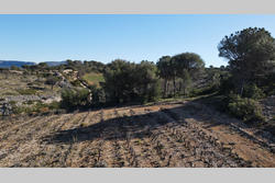 Vente terrain agricole Estagel  