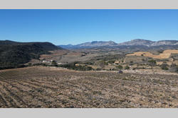 Vente terrain agricole Estagel  