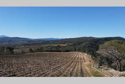 Vente terrain agricole Estagel  