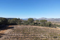 Vente terrain agricole Estagel  