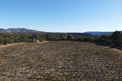 Vente terrain agricole Estagel  
