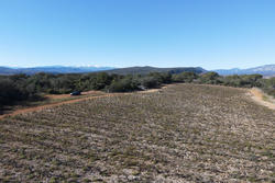 Vente terrain agricole Estagel  
