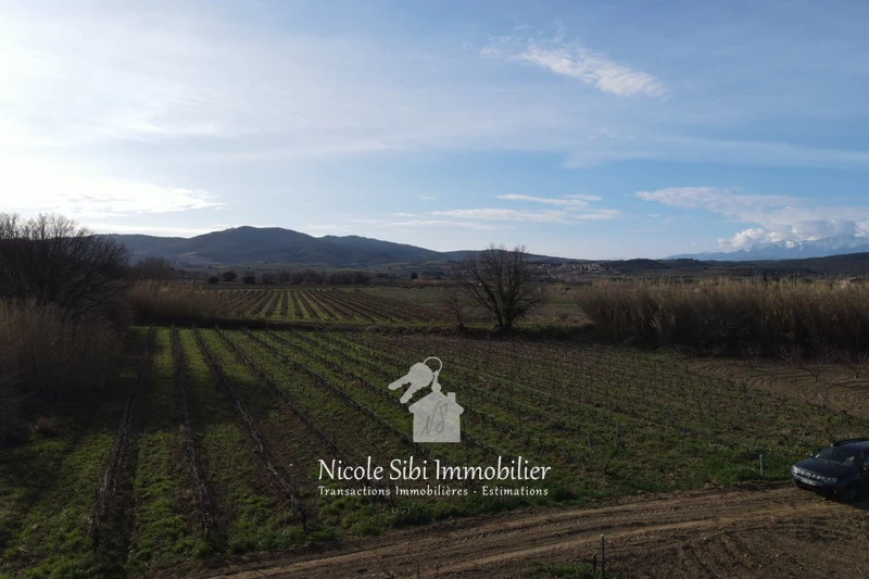 Vente terrain agricole Estagel  