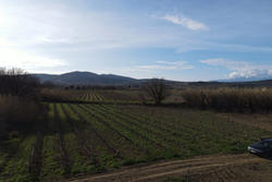 Vente terrain agricole Estagel  