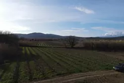 Vente terrain agricole Estagel  
