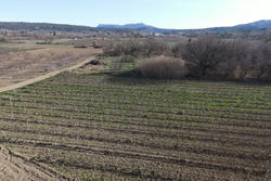 Vente terrain agricole Estagel  