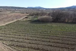 Vente terrain agricole Estagel  