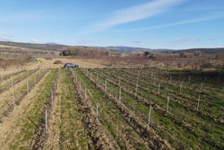 Vente terrain agricole Estagel  