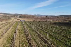Vente terrain agricole Estagel  