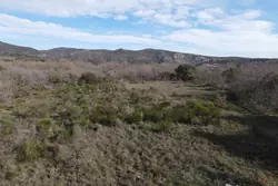 Vente terrain agricole Rodès  