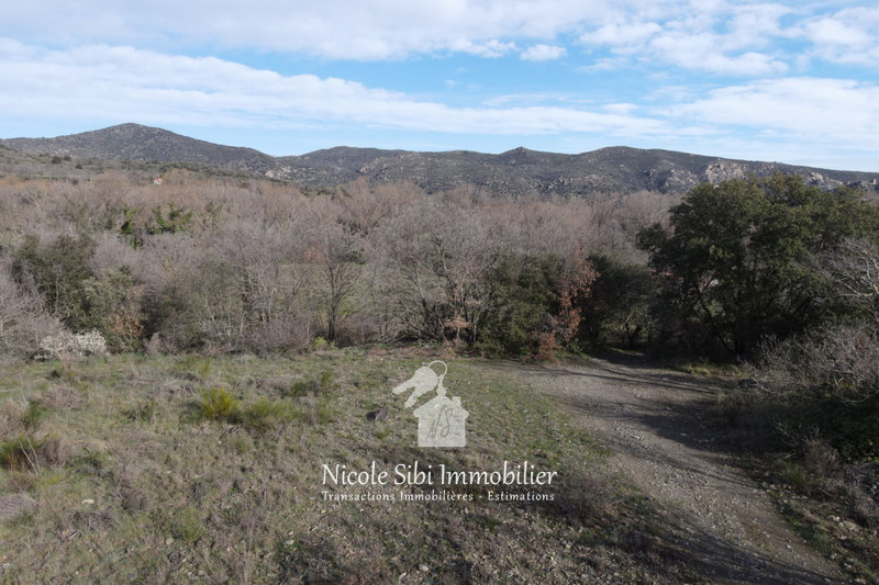 Vente terrain agricole Rodès  