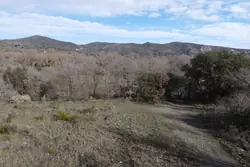 Vente terrain agricole Rodès  
