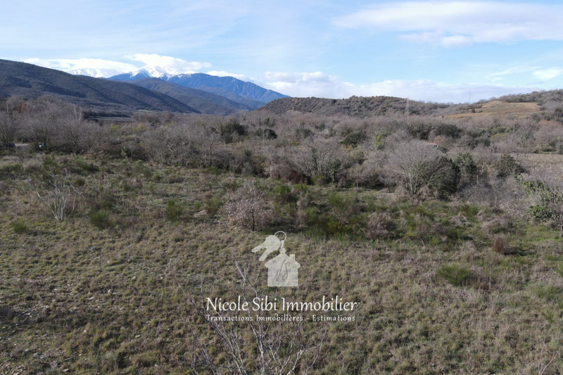 Vente terrain agricole Rodès  