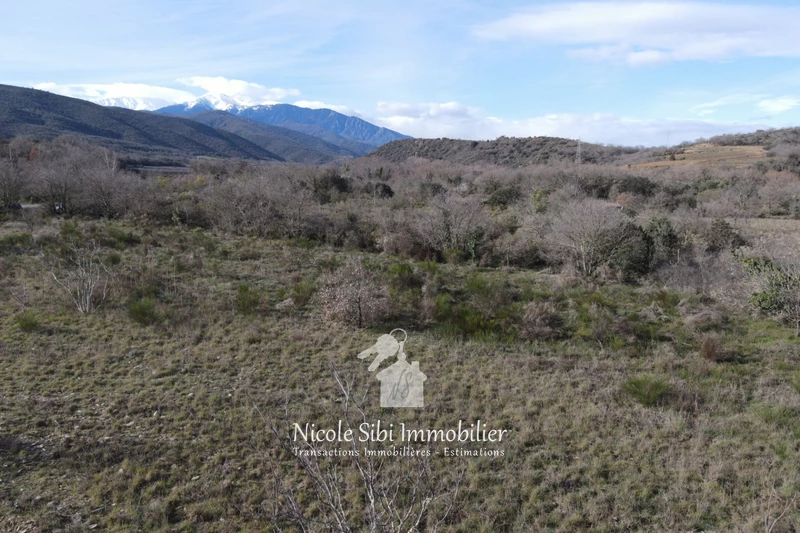 Vente terrain agricole Rodès  