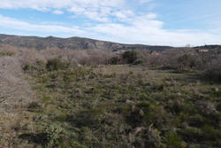 Vente terrain agricole Rodès  