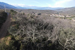 Vente terrain Rodès  