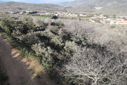 Vente terrain Rodès  