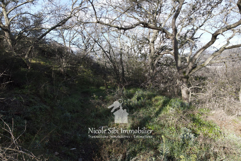 Vente terrain Rodès  