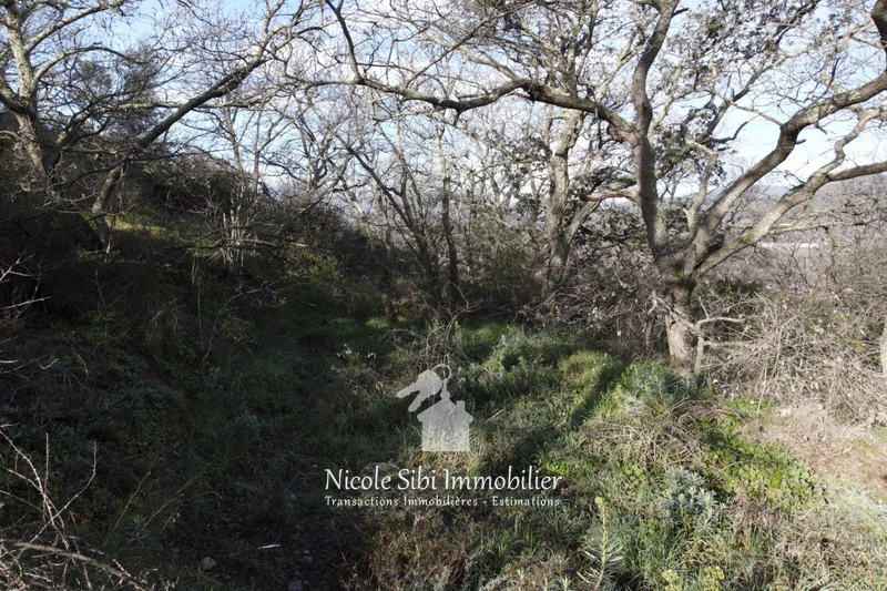 Vente terrain Rodès  