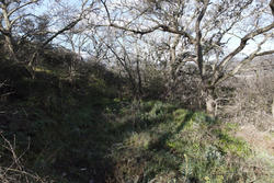 Vente terrain Rodès  