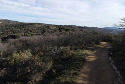 Vente terrain Rodès  