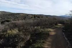 Vente terrain Rodès  
