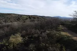 Vente terrain Rodès  