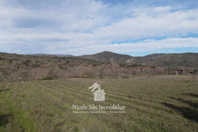 Vente terrain Rodès  