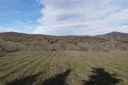 Vente terrain Rodès  