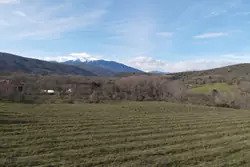 Vente terrain Rodès  