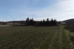 Vente terrain Rodès  