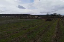 Vente terrain agricole Estagel  