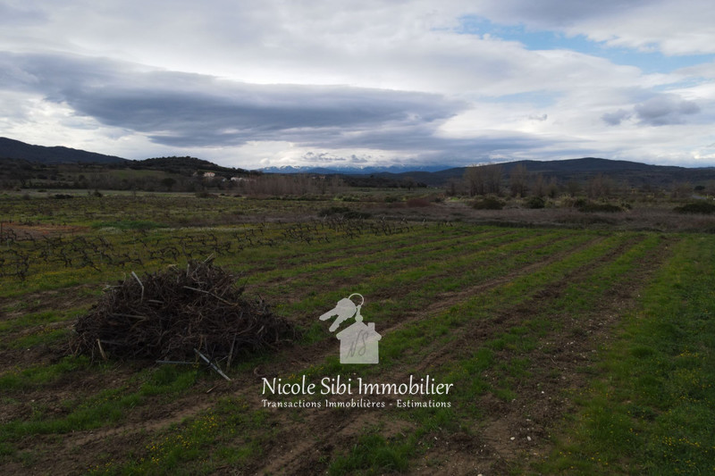 Vente terrain agricole Estagel  