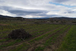 Vente terrain agricole Estagel  