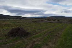 Vente terrain agricole Estagel  