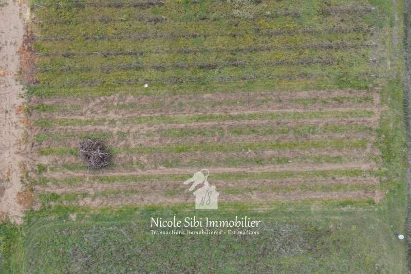 Vente terrain agricole Estagel  